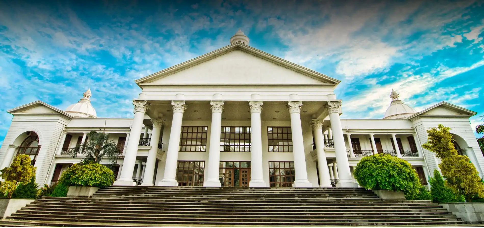 Alliance University